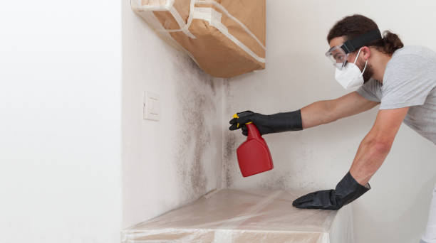 Professional Attic Mold Remediation technician working in Herndon, PA
