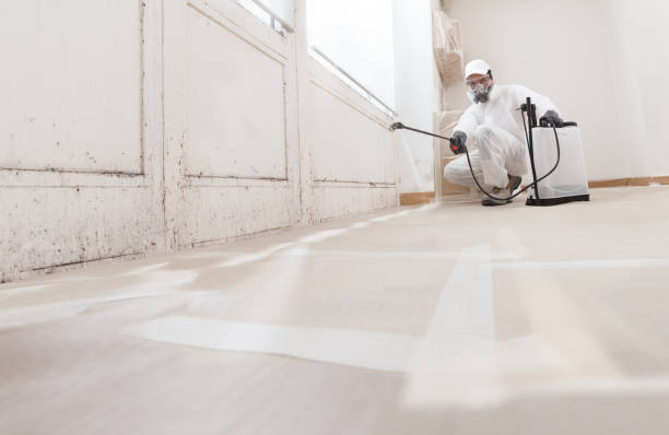 24/7 Emergency Attic Mold Remediation experts in Herndon, PA