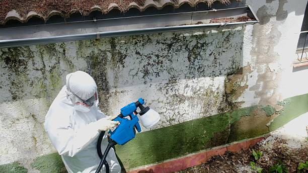 Top rated local Attic Mold Remediation specialists in Herndon, PA